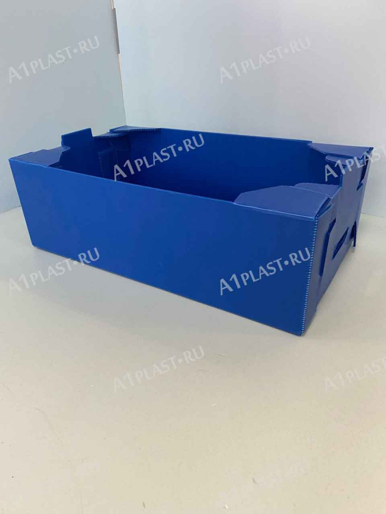 plastikovye-pishchevye-yashchiki-dlya-transportirovki-produktov.jpg