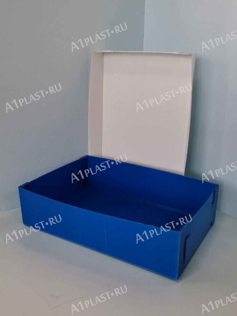 proizvodstvo-plastikovoj-tary-5.jpg