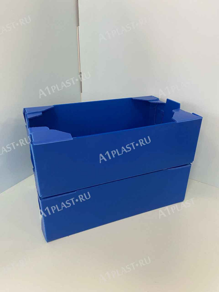 proizvodstvo-plastikovyh-pishchevyh-yashchikov-dlya-transportirovki-produktov.jpg
