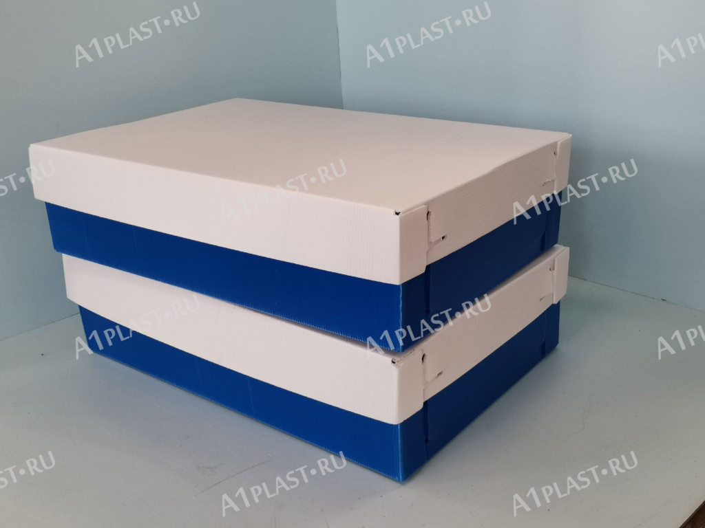 proizvodstvo-plastikovoj-tary-2.jpg